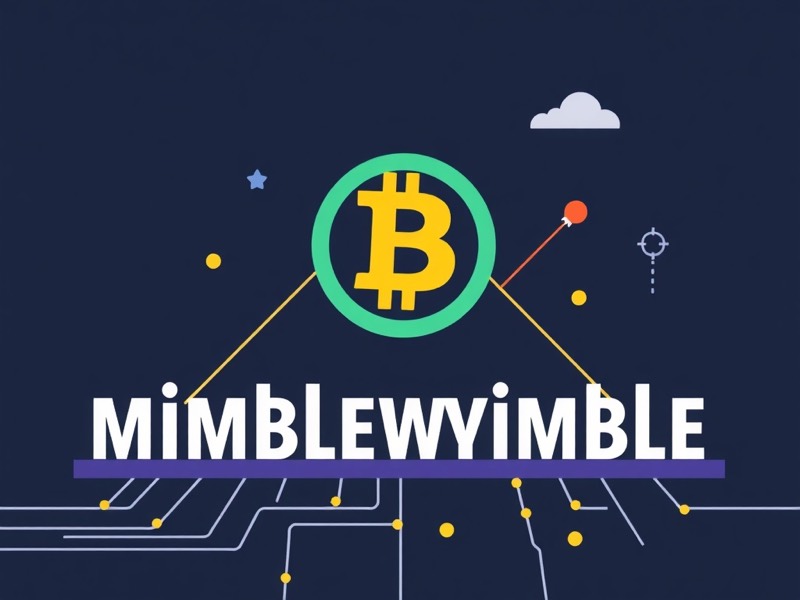 Understanding Mimblewimble Protocol Design in the Context of Bitcoin Privacy